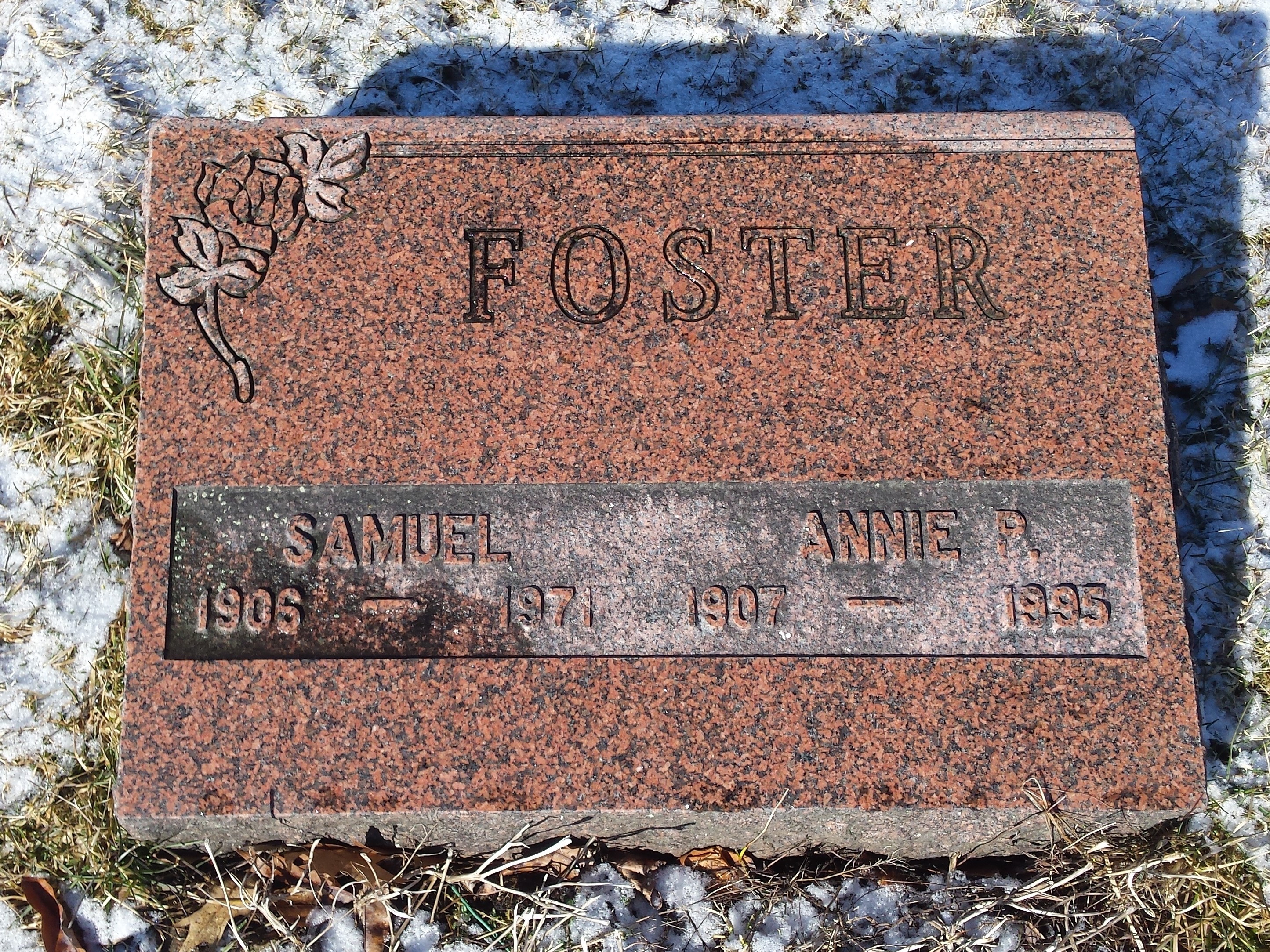 Photo of headstones/Annie P Foster nee McLennan d1995 hdstn Brookside Cem Pictou co